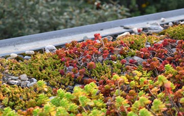 the cost of Uploders green roof installation