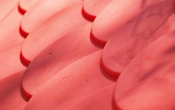 Uploders plastic roof costs