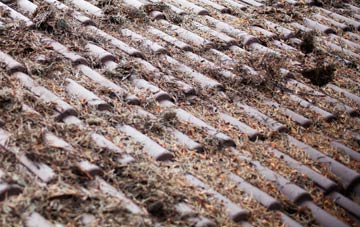 Uploders roof cleaning companies