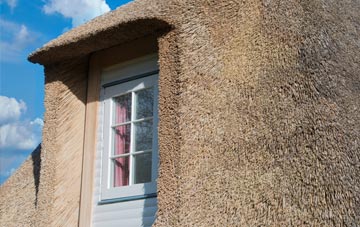 Uploders thatch roof disadvantages