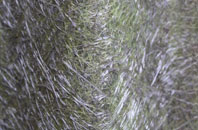 Uploders fibreglass roof work